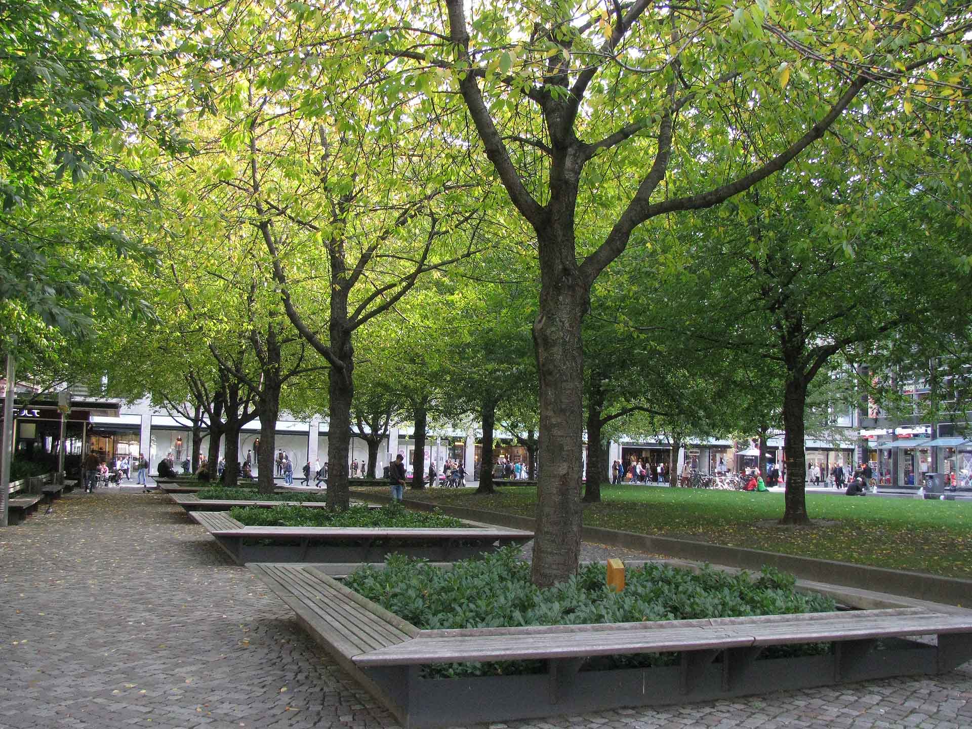 Leipzig - Platzgestaltung mit Kirschbäumen